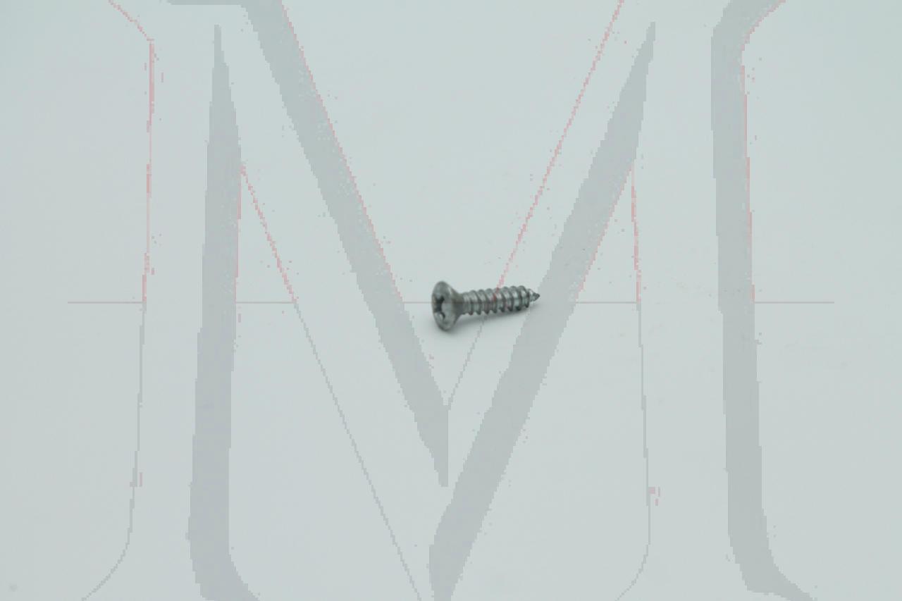 GRILLE MOUNTING SCREW