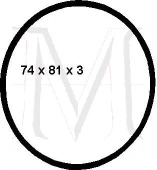 unnamed FUEL FILTER RING